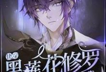 【快穿】黑莲花修罗场生存指南江燃，【快穿】黑莲花修罗场生存指南章节在线阅读-推书酱