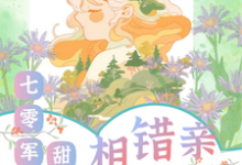 《相错亲嫁对人,七零军婚甜蜜蜜》小说章节列表免费试读,舒云顾峻小说在线阅读-推书酱