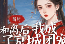 柳如烟顾承泽小说完整版《和离后我成了京城团宠》免费阅读-推书酱