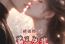 《被强撩后霸总失控,天天盼天黑》全集免费在线阅读(桑榆晚顾清霂)-推书酱