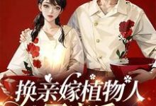 哪里能找到换亲嫁植物人军官后,我一胎三宝小说的全部章节?-推书酱