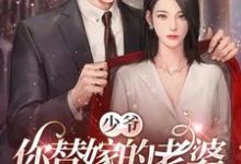 免费在线阅读少爷,你替嫁的老婆原来是大佬小说的正规网站有哪些?-推书酱