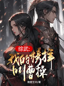 《综武：我的榜样叫曹操》楚流风王语嫣小说免费阅读完整版