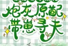 军婚七年未见,炮灰原配带崽寻夫这本小说在哪里可以看?哪里有免费试读章节?-推书酱