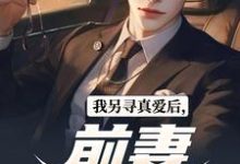 《我另寻真爱后,前妻后悔了》小说章节列表免费试读,李夕小说在线阅读-推书酱