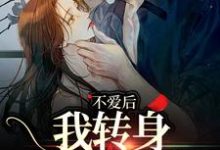不爱后，我转身缠上霸总免费阅读，不爱后，我转身缠上霸总章节在线阅读-推书酱