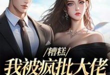 完结版《糟糕,我被疯批大佬缠上了!》章节阅读-推书酱