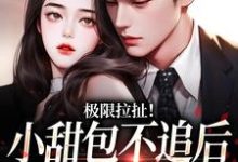极限拉扯！小甜包不追后男神他慌了这本小说完结了吗？免费查看最新章节-推书酱
