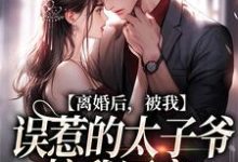 离婚后,被我误惹的太子爷接我回家云浅萧南夜小说大结局免费试读-推书酱