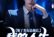 娶了美女总裁后，我的人生开挂了小说的无弹窗阅读体验，寻找免费阅读网站-推书酱