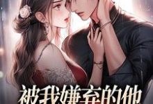 完结版《被我嫌弃的他,竟成了我的港湾》在线免费阅读-推书酱