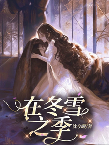 小说《在冬雪之季》章节免费阅读