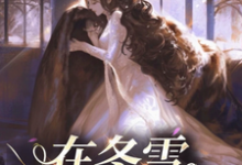 完结版《在冬雪之季》章节阅读-推书酱