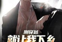 哪里能找到刚穿越就让我下乡,这该如何是好小说的全部章节?-推书酱