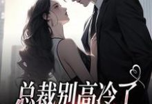 求推荐可以免费阅读总裁别高冷了，夫人离家出走了小说的网站-推书酱