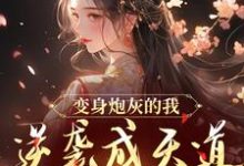 萧绾绾小说免费阅读完整版-推书酱