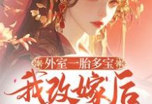 完整版的外室一胎多宝,我改嫁后你哭啥小说在哪里可以免费读到?-推书酱