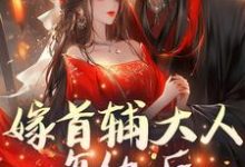 《嫁首辅大人复仇后，她被反攻略了》完整版小说免费阅读-推书酱