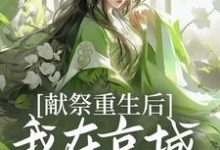 小说《献祭重生后，我在京城大杀特杀！》章节免费阅读-推书酱