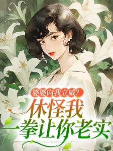 《婆婆向我立威？休怪我一拳让你老实》小说免费阅读完整版