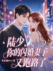 陆少，你的闪婚妻子又跑路了免费阅读，陆少，你的闪婚妻子又跑路了慕南嫣陆逸然