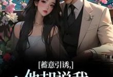 赵梨之小说免费阅读完整版-推书酱