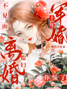 沈流芳小说叫什么（军婚十年不见面，媳妇离婚你慌了完整版免费阅读）