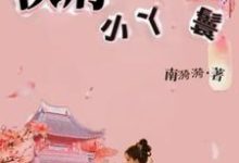 侯府小丫鬟免费阅读，侯府小丫鬟林岁安-推书酱