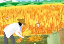 完整版小说《重生黑莲花手撕渣男全家》免费阅读-推书酱