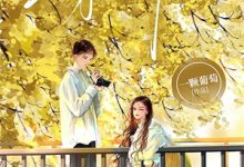 驯服恶犬，人类万人迷她只想摆烂小说全文哪里可以免费看？-推书酱