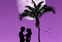 予夏长宁章节免费在线阅读，安夏以谢辞予完结版-推书酱