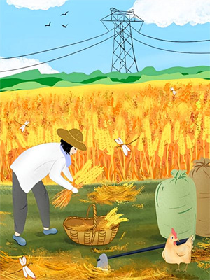 求都市迷局小说免费资源