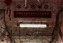 夜色未眠共此生许未眠陆珩舟大结局全文无广告阅读-推书酱